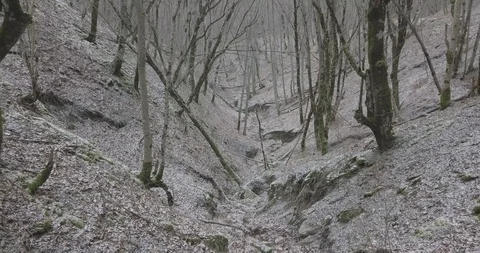 Gorge in the winter forest where the river no longer flows Stock Footage 123472889