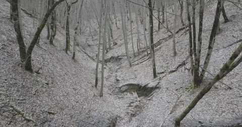 Gorge in the winter forest where the river no longer flows Stock Footage 123496011