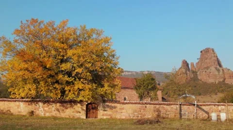 Gorgeous autumn walnut-tree Stock Footage 21272834