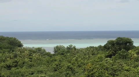 Gorgeous Beach in PALAU Stock Footage 49144509