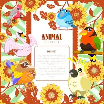 Gorgeous birds template Stockillustratie