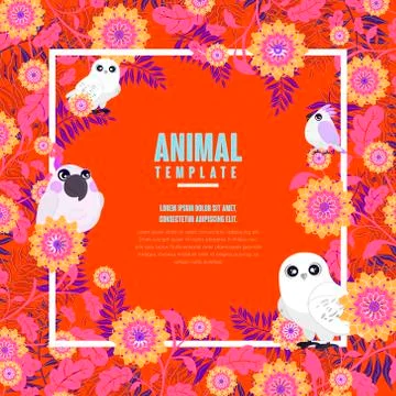 Gorgeous birds template 스톡 일러스트
