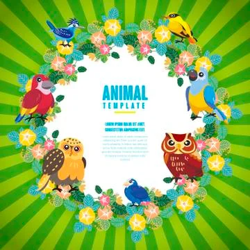 Gorgeous birds template Illustrazione stock