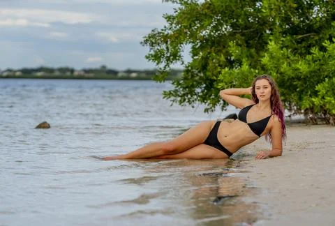 Gorgeous Brunette Bikini Model Posing Outdoors On A Beach Stock Photos