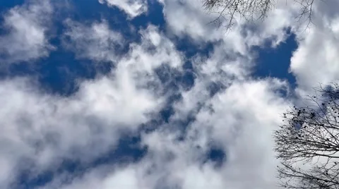 Gorgeous clouds with bright blue sky and windy tree Stock Footage 321118490