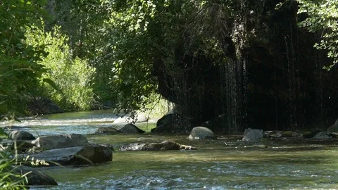 Gorgeous dripping rocks over a small river in a rainforest Video stock 121545904