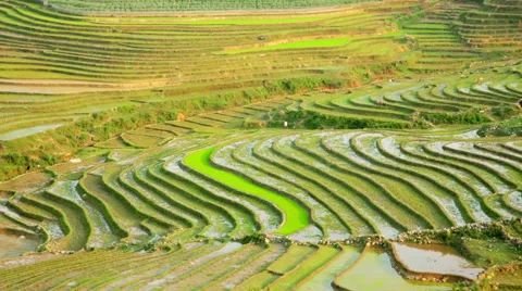 Gorgeous farm fields, rice paddy terraces, Sapa, Vietnam Stock Footage 40433788