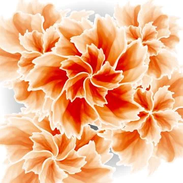 Gorgeous Floral Background Illustrazione stock