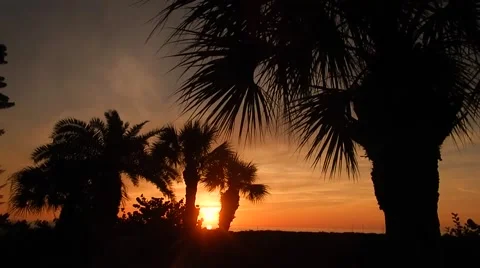 Gorgeous florida beach sunset Vídeos de archivo 45520190