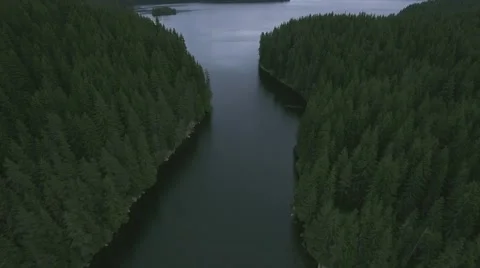 A GORGEOUS FLY OVER RIVER BETWEEN BANKS Stock-Footage 65371348