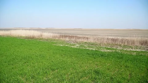 Gorgeous landscape featuring green grass bordered with golden dry field Stock-Footage 270501849