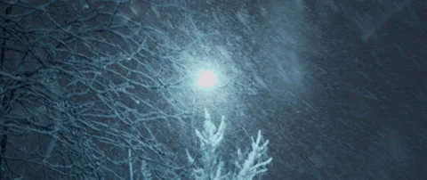Gorgeous light under snowstorm at night. Massive blizzard Stock Footage 148384649