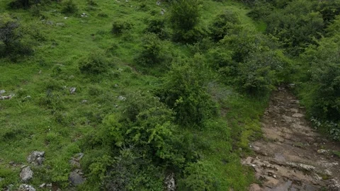 Gorgeous Mountain View Stock Footage 133521006