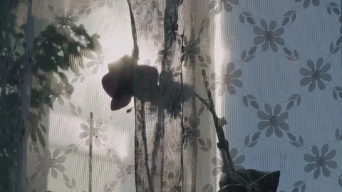 Gorgeous purple orchid on a windowsill splashed with water in the sun Video stock 128020187