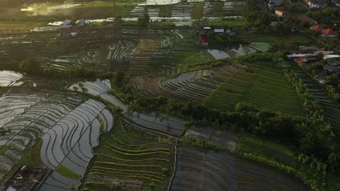 Gorgeous Rice Terraces Stock Footage 119860656