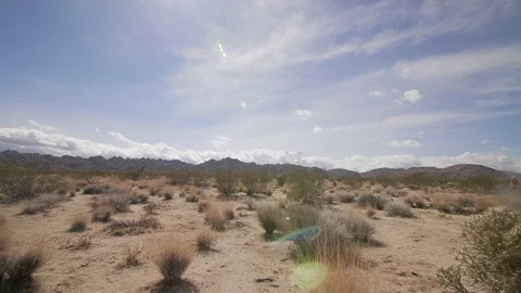 Gorgeous scenic view of desert brown plants dirt and craggy rugged mountains Vidéo 109477884