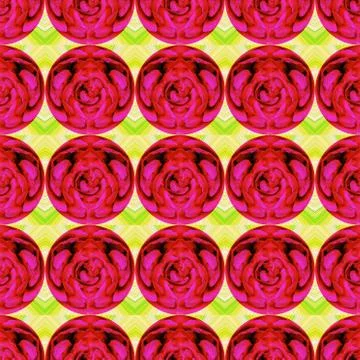 Gorgeous seamless pattern with red roses Stock Illustration