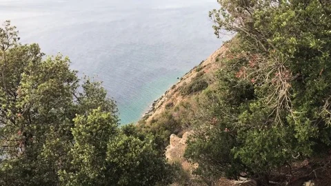 Gorgeous seascape from a high cliff with trees on foreground Stock-Footage 83005222
