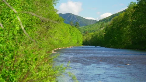 Gorgeous shot of broad river with spring green trees and granite peak. Stock Footage 144414512