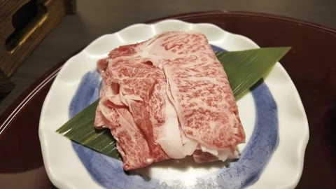Gorgeous Sliced Beef on Plate Stock Footage 324801179
