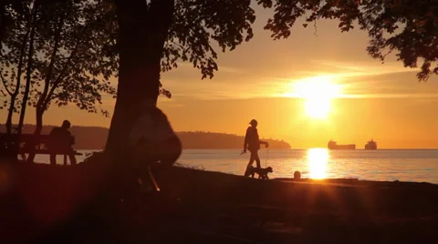 Gorgeous sunset at beach park 動画素材 30248960