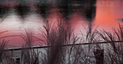 Gorgeous sunset on the Suzhou River Stock Footage 220389592