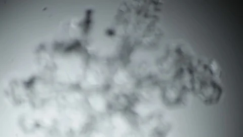 Gorgeous transparent snowflake appears out of the blur Stock Footage 104475881