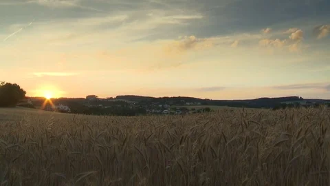 Gorgeous vanilla sky above a fully ripe field Stock Footage 78088930