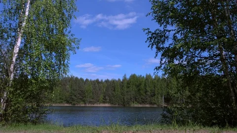 Gorgeous view of beautiful nature background with lake and forest in summer. Stock Footage 119367990