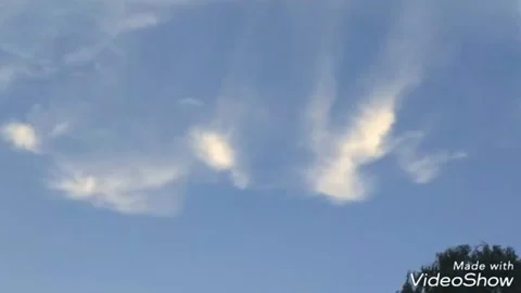 Gorgeous view 库存影片 195276169