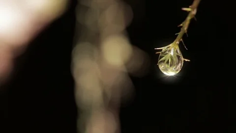 Gorgeous water droplet against dark background Stock Footage