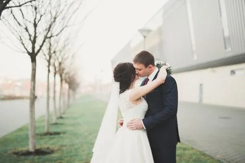 Gorgeous wedding couple walking in the old city of Lviv Stock Photos