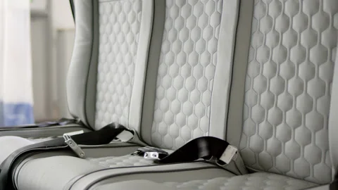 Gorgeous white or light gray leather interior. Handmade, diamonds embroidered on Stock Footage 194594734