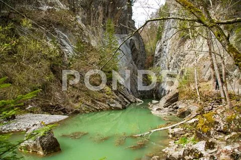 https://images.pond5.com/gorges-de-la-jogne-river-photo-108561062_iconl.jpeg