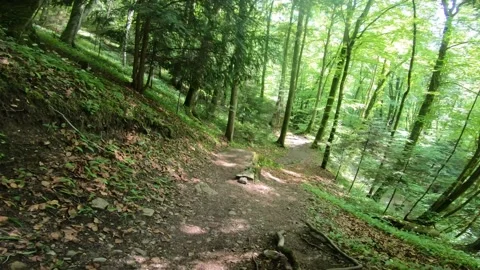 Gorges du Chauderon, 16 May 2020, Switzerland. Stock Footage 130522809