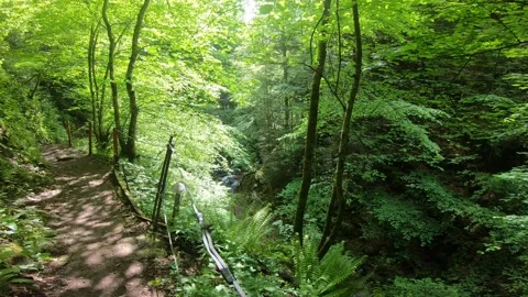 Gorges du Chauderon, 16 May 2020, Switzerland. 库存影片 130522819