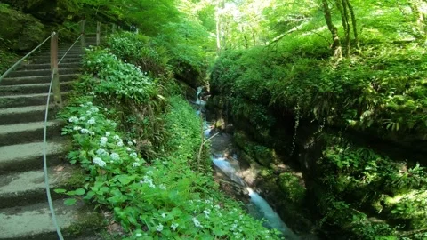 Gorges du Chauderon, 16 May 2020, Switzerland. 库存影片 130522824