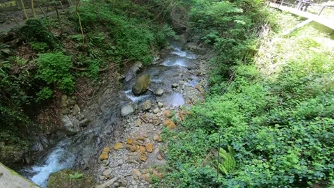 Gorges du Chauderon, 16 May 2020, Switzerland. Stock Footage 130522896
