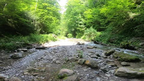 Gorges du Chauderon, 16 May 2020, Switzerland. Stock Footage 130522949