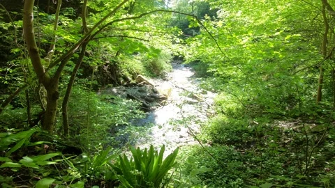 Gorges du Chauderon, 16 May 2020, Switzerland. 库存影片 130523162