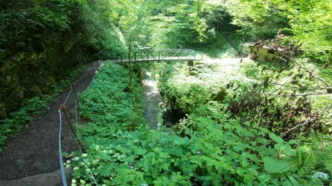 Gorges du Chauderon, 16 May 2020, Switzerland. 库存影片 130523306
