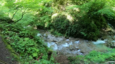Gorges du Chauderon, 16 May 2020, Switzerland. 库存影片 130523318