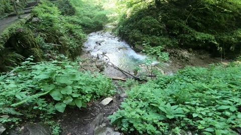 Gorges du Chauderon, 16 May 2020, Switzerland. Stock Footage 130523337