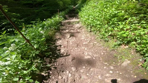 Gorges du Chauderon, 16 May 2020, Switzerland. 库存影片 130523375