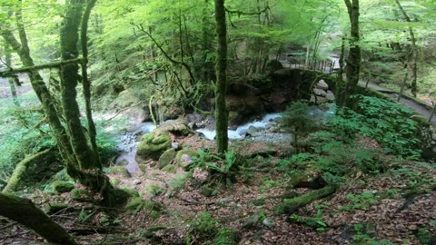 Gorges du Chauderon, 16 May 2020, Switzerland. 库存影片 130523488