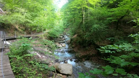 Gorges du Chauderon, 16 May 2020, Switzerland. 库存影片 130523604