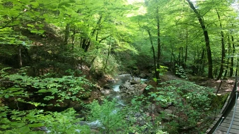 Gorges du Chauderon, 16 May 2020, Switzerland. 库存影片 130523620