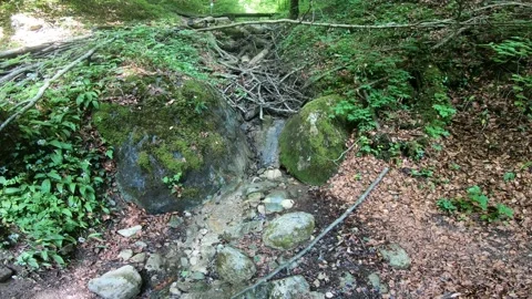 Gorges du Chauderon, 16 May 2020, Switzerland. 库存影片 130523655