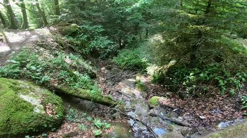 Gorges du Chauderon, 16 May 2020, Switzerland. 库存影片 130523688