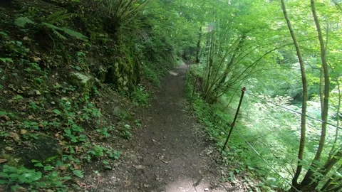 Gorges du Chauderon, 16 May 2020, Switzerland. 库存影片 130523742